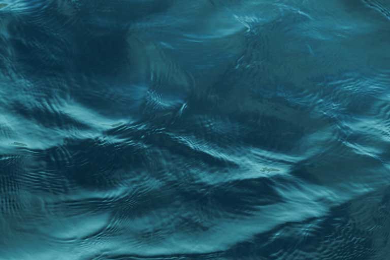 Wasseroberfläche